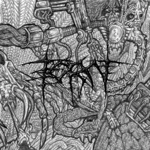 Torn : Wrapped in a Mantle of Anger